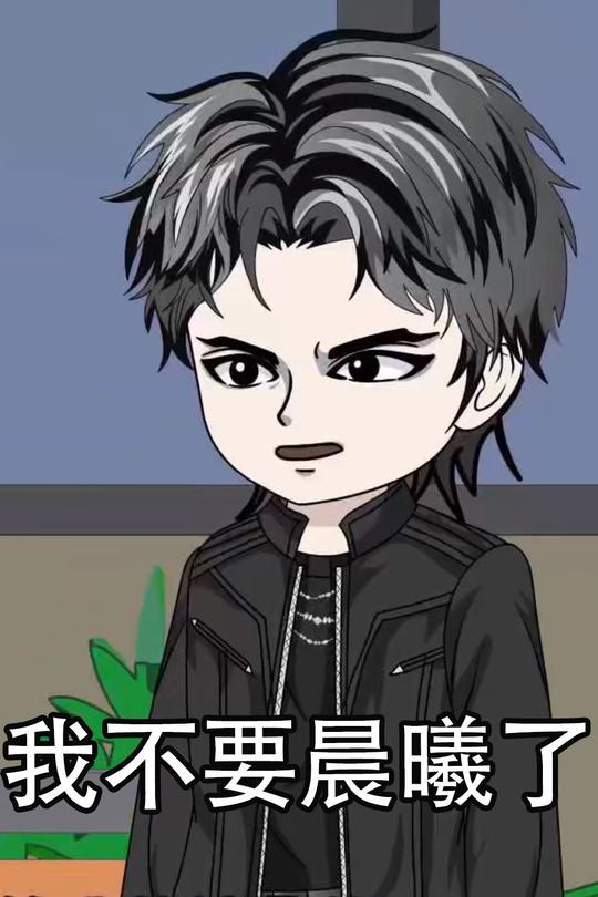 我不要晨曦了封面
