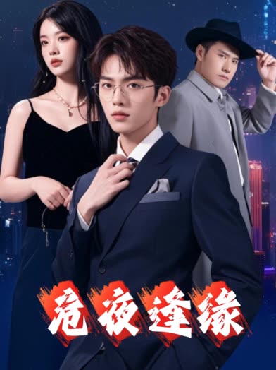 危夜逢缘封面