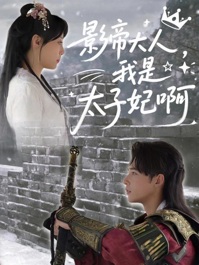 影帝大人,我是太子妃啊封面