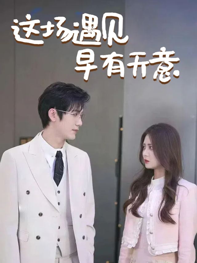 这场遇见早有天意封面