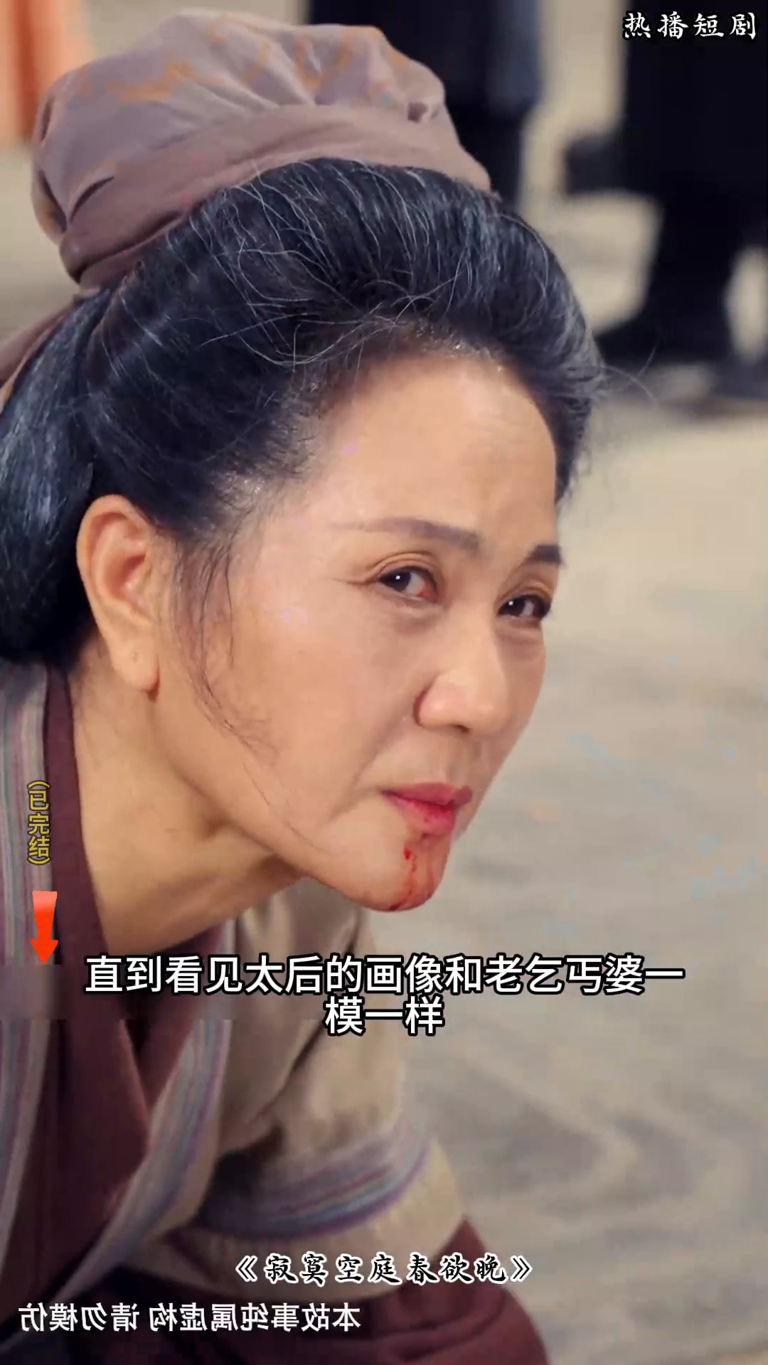 寂寞空庭春欲晚封面