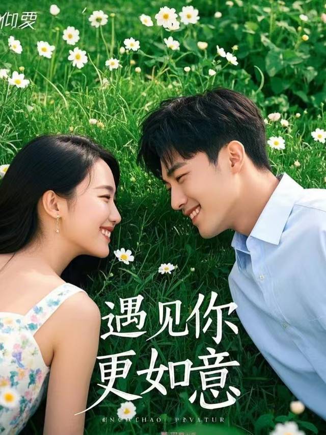 遇见你更如意封面