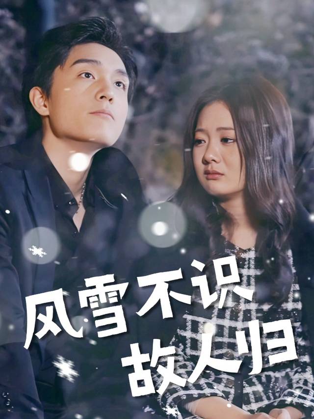 风雪不识故人归封面