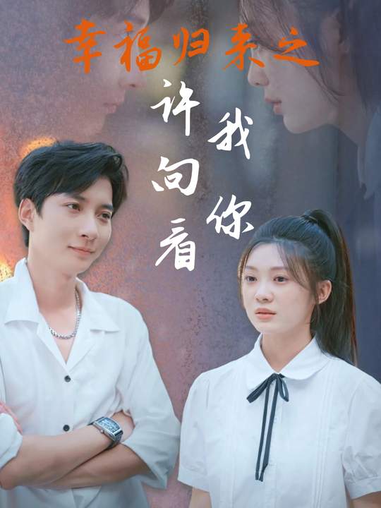 幸福归来之许我向你看封面