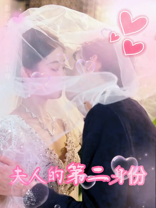 夫人的第二身份封面