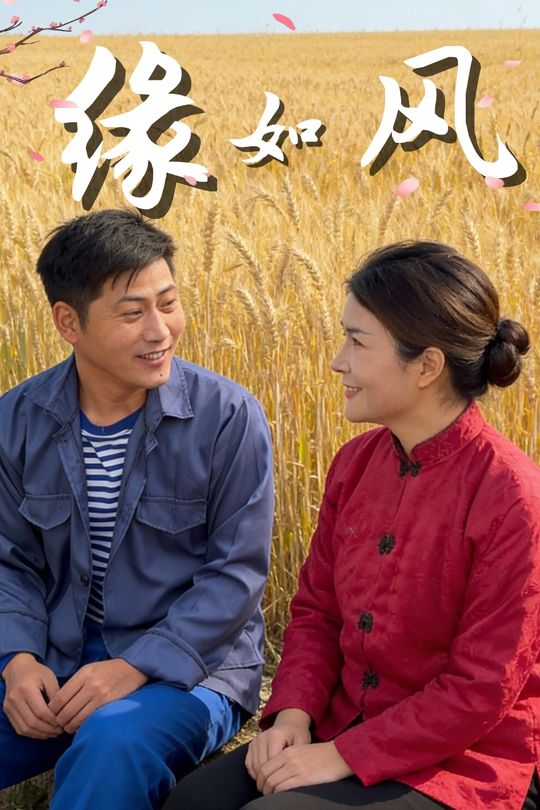 缘如风封面