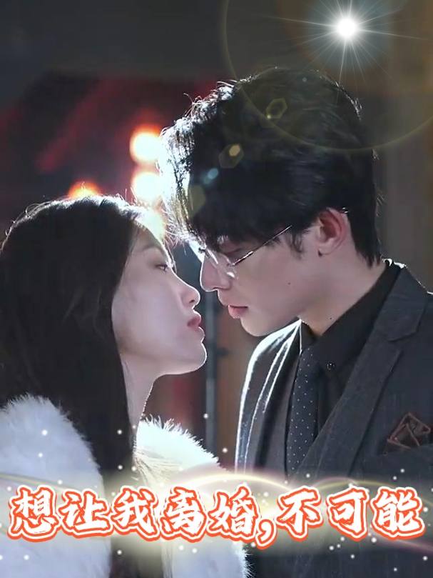 想让我离婚,不可能封面