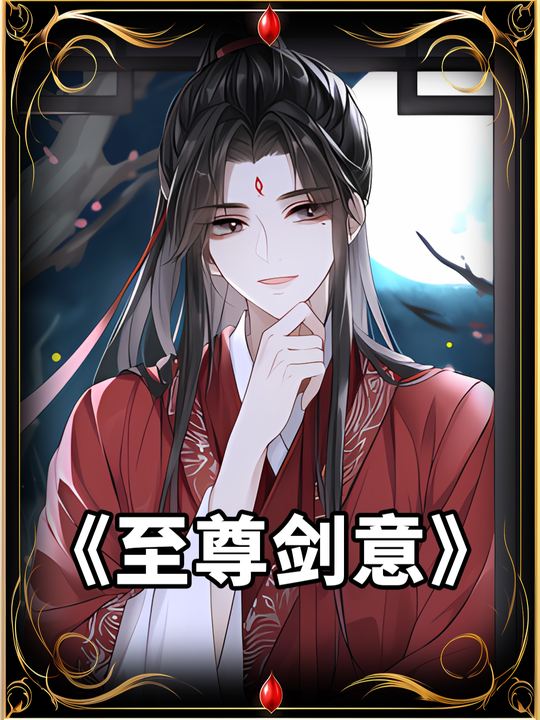 至尊剑意封面