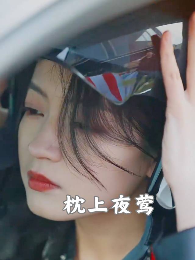 枕上夜莺封面