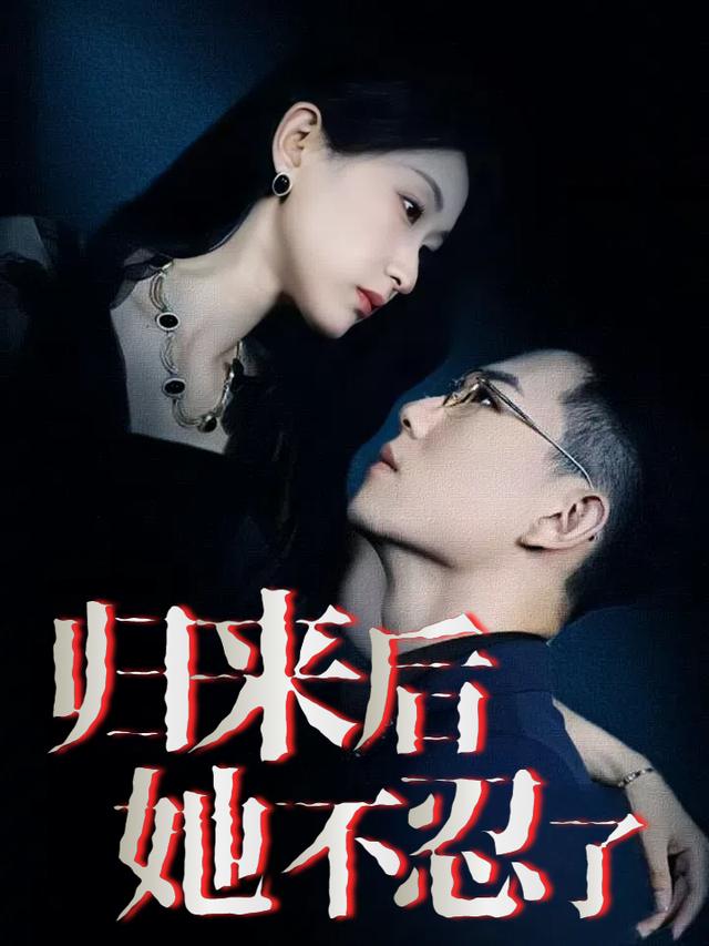 归来后她不忍了封面
