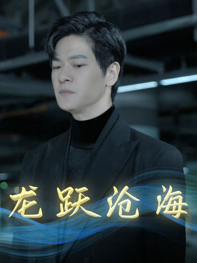 龙跃沧海封面