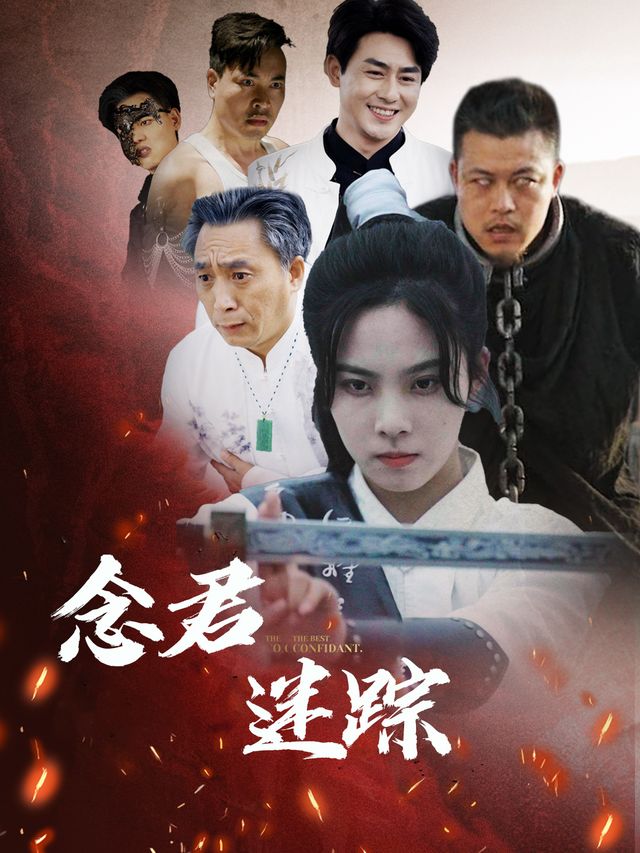 念君迷踪封面