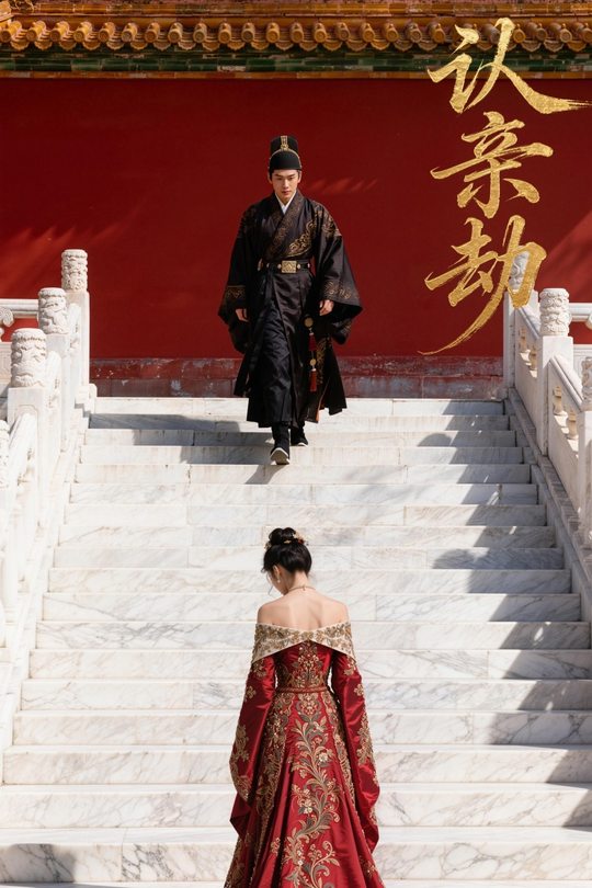 认亲劫封面