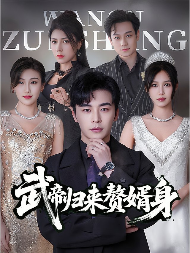 武帝归来赘婿身封面