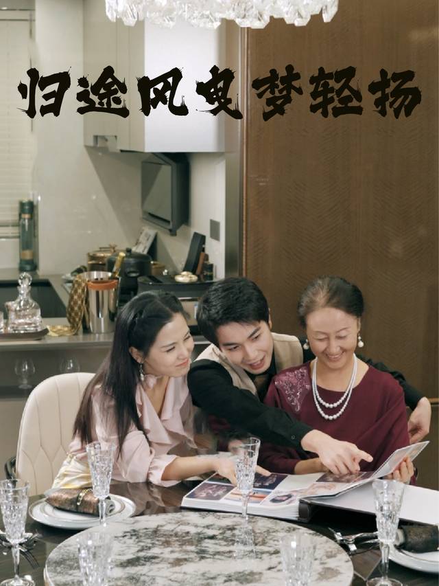 归途风曳梦轻扬封面