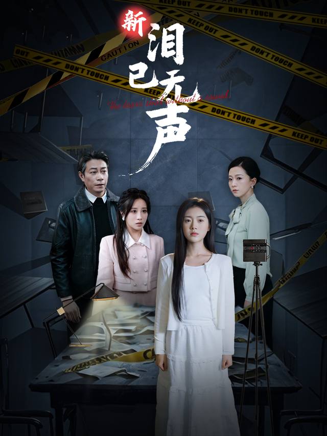 新泪已无声封面