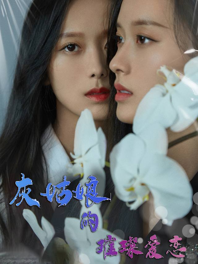 灰姑娘的璀璨爱恋封面