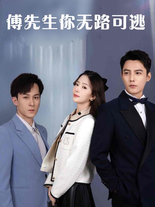 傅先生,你无路可逃封面