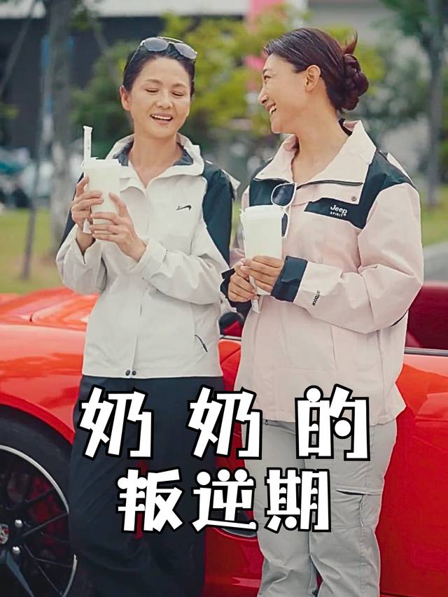奶奶的叛逆期封面