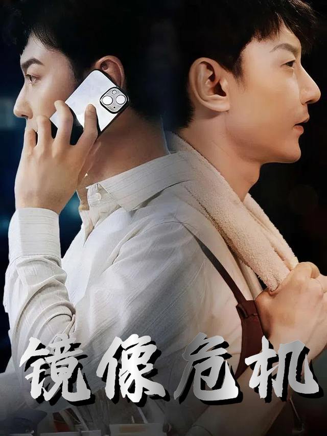 镜像危机封面
