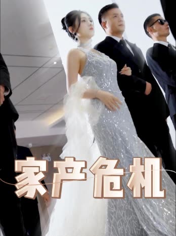 家产危机封面