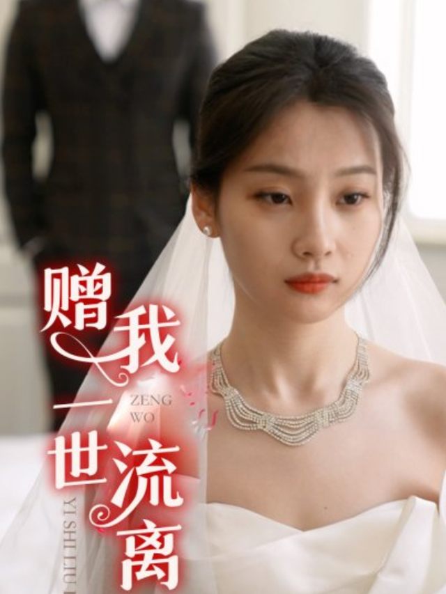 赠我一世流离封面