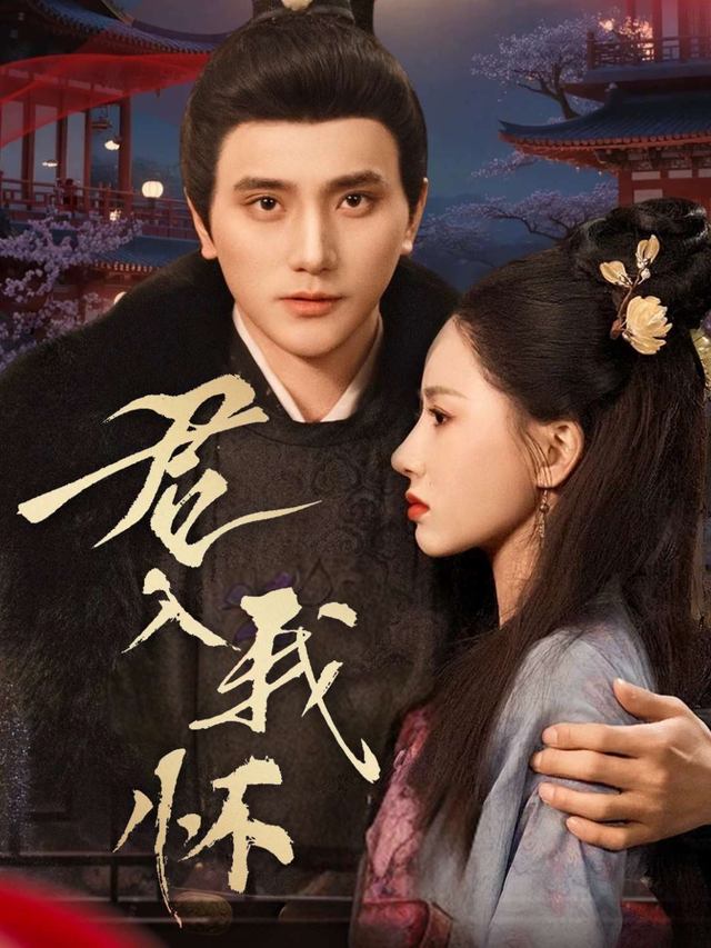 君向我怀封面