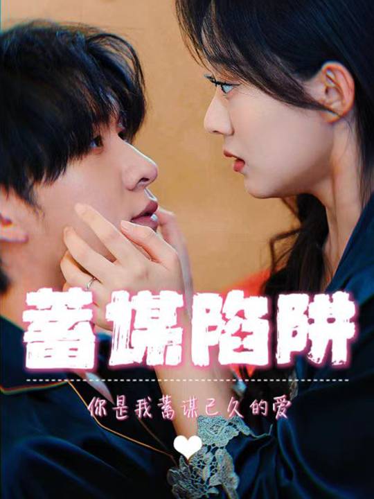 蓄谋陷阱封面