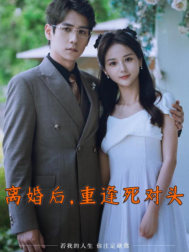 离婚后,重逢死对头封面