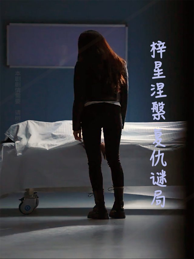 梓星涅槃:复仇谜局封面