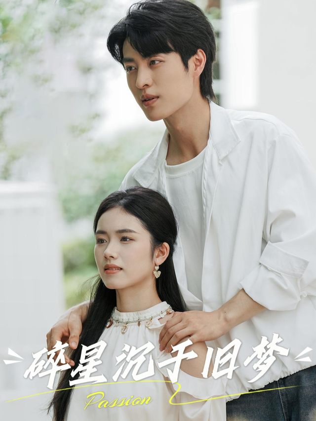 碎星沉于旧梦封面