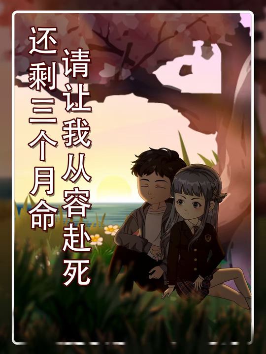 还剩三个月命,请让我从容赴死封面