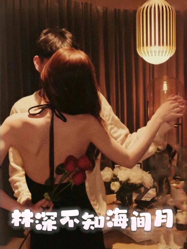 林深不知海中月封面