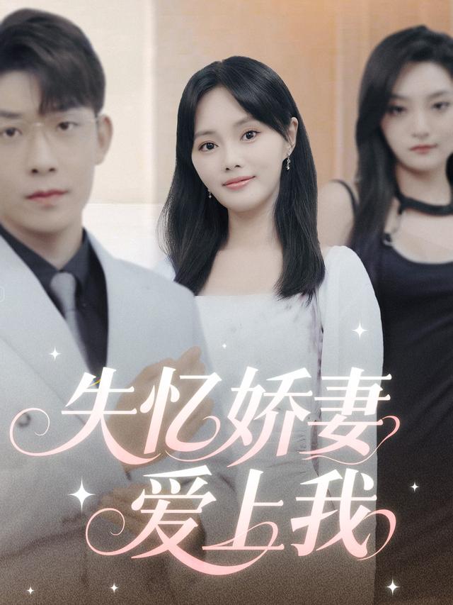 失忆娇妻爱上我封面