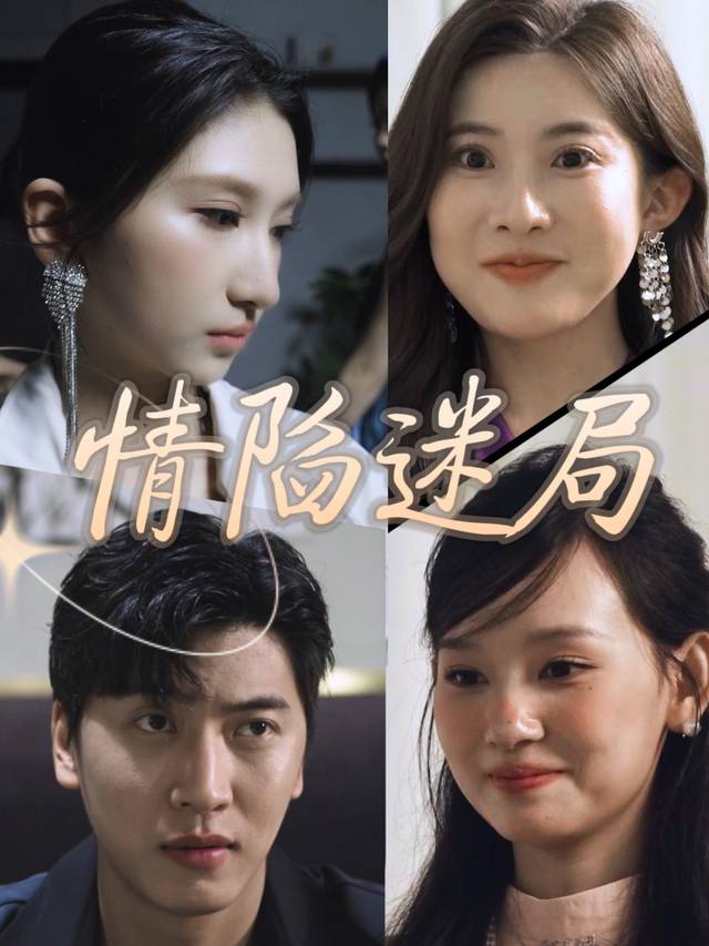 情陷迷局封面
