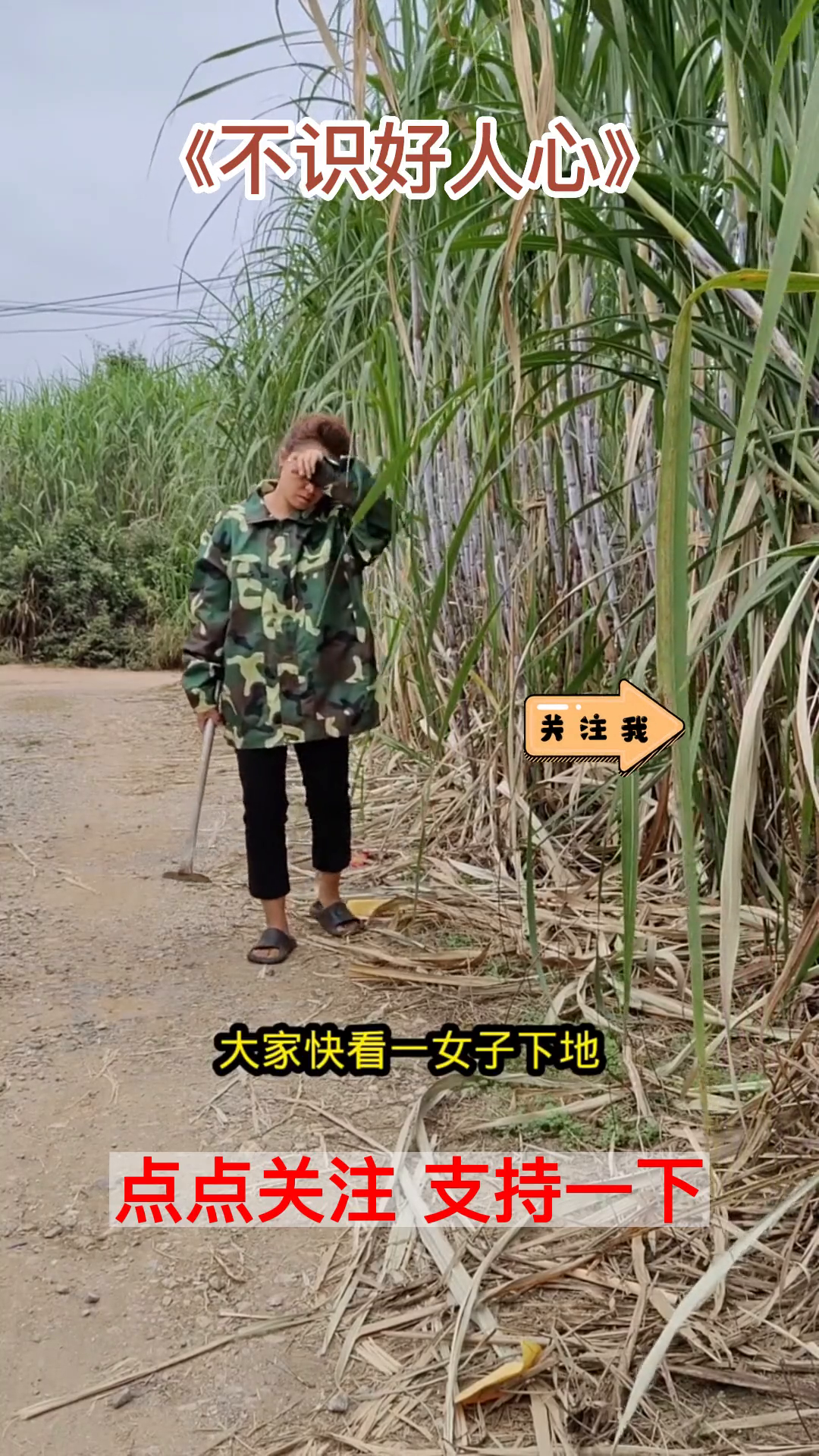 不识好人心封面