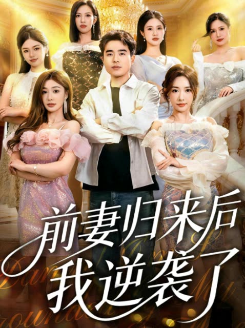 前妻归来后我逆袭了封面
