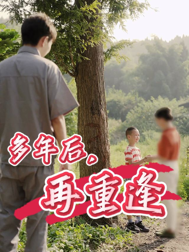 多年后,再重逢封面