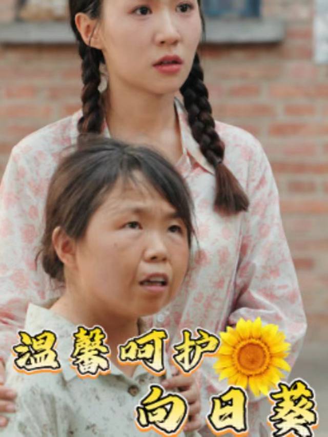 温馨呵护向日葵封面