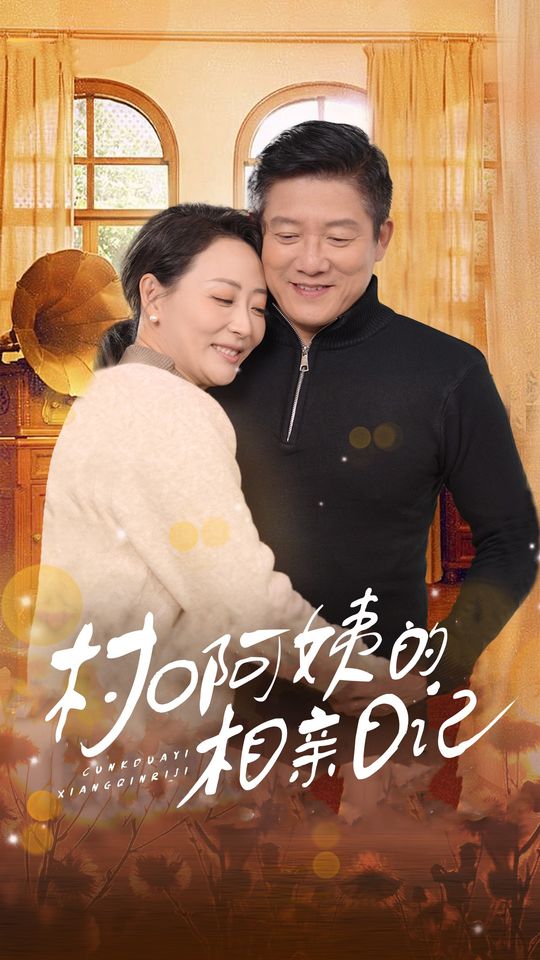 村口阿姨的相亲日记封面