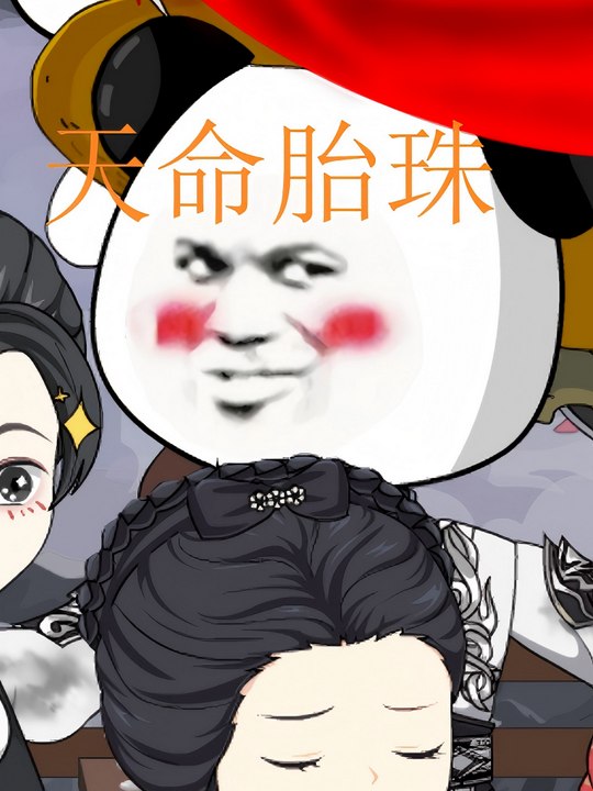 天命胎珠封面