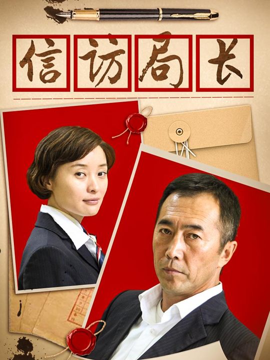 信访局长(下)封面