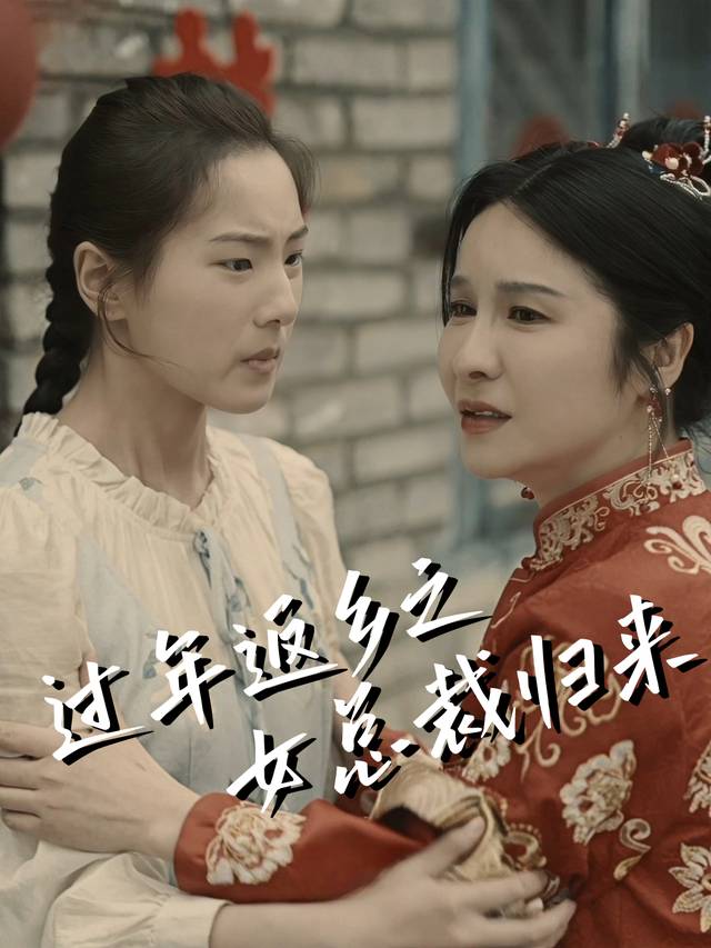 过年返乡之女总裁归来封面