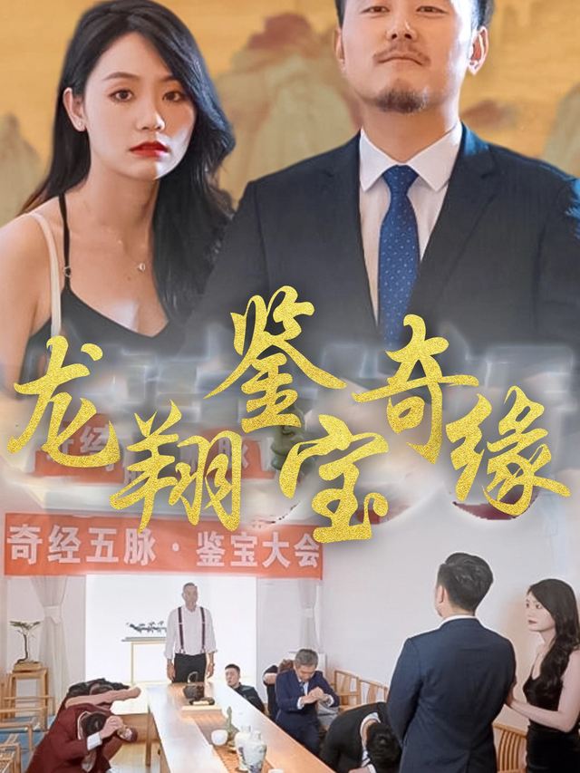 龙翔鉴宝奇缘封面