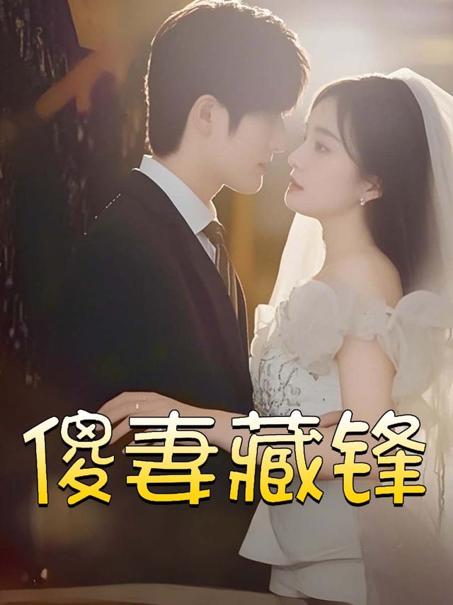 傻妻藏锋封面