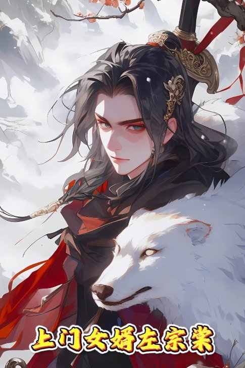 上门女婿左宗棠封面