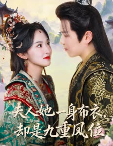 夫人她一身布衣,却是九重凤位封面