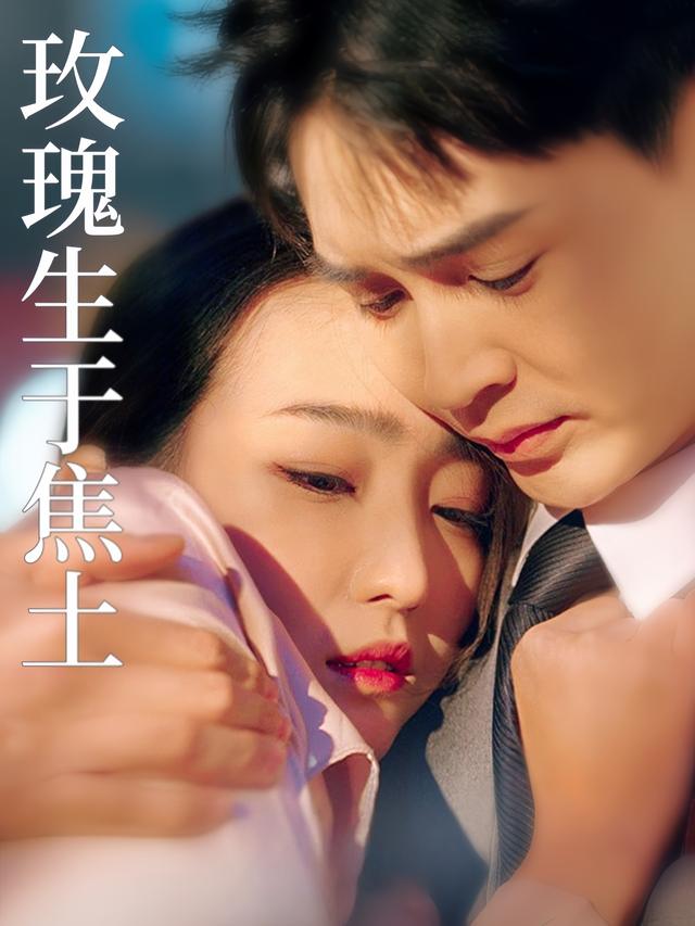 玫瑰生于焦土封面
