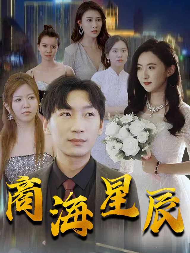 商海星辰封面