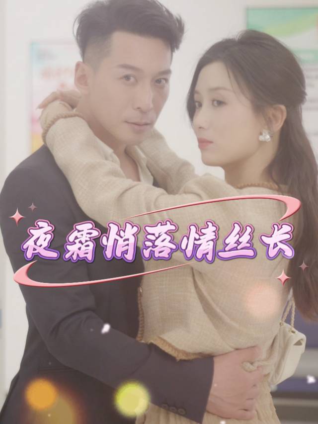 夜霜悄落情丝长封面